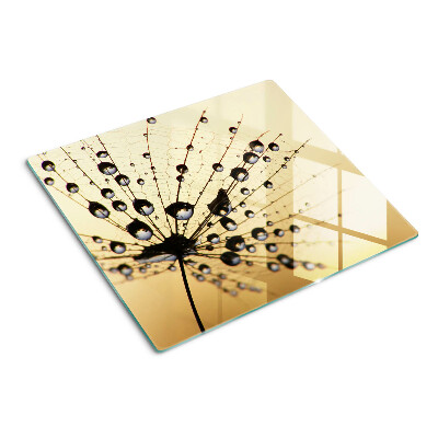 Tagliere in vetro temperato Gocce d'acqua sulla ragnatela di un ragno