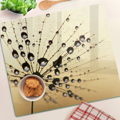 Tagliere in vetro temperato Gocce d'acqua sulla ragnatela di un ragno