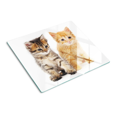 Tagliere in vetro temperato Gatti su sfondo bianco