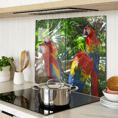 Tagliere in vetro temperato Pappagalli in un ambiente tropicale
