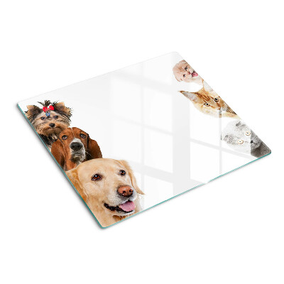 Tagliere in vetro Cani e gatti in pose diverse
