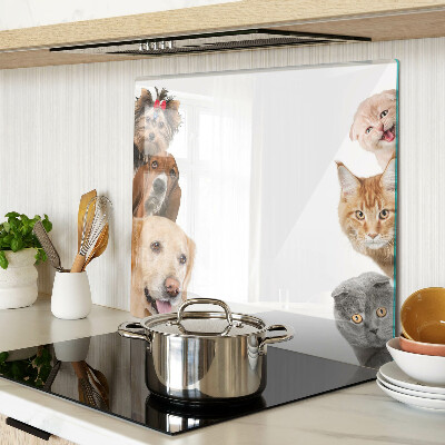 Tagliere in vetro Cani e gatti in pose diverse