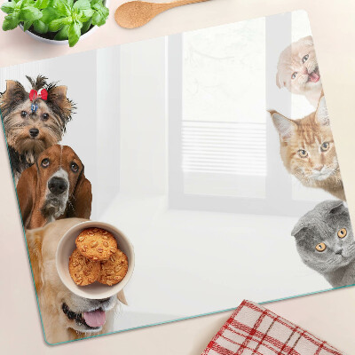 Tagliere in vetro Cani e gatti in pose diverse
