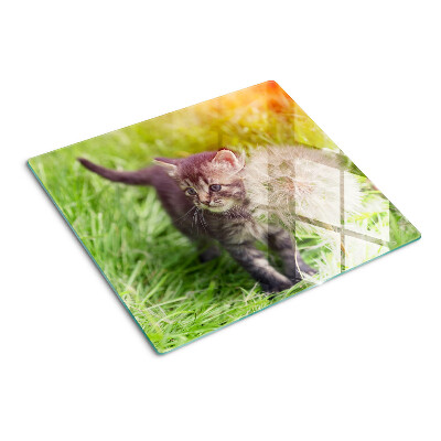 Tagliere in vetro Gatto sull'erba