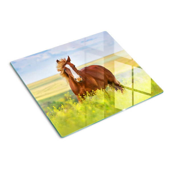 Tagliere in vetro temperato Cavallo nel prato