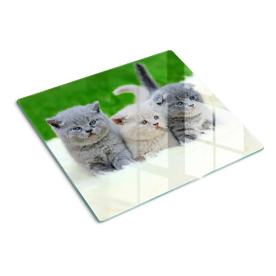 Tagliere in vetro temperato Gattini su sfondo verde