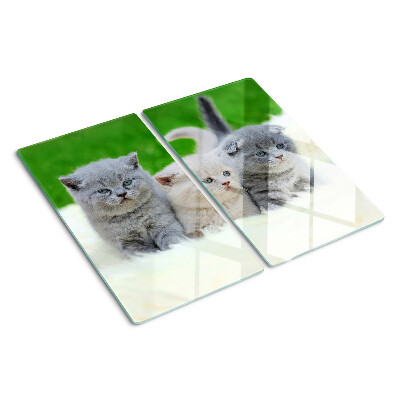 Tagliere in vetro temperato Gattini su sfondo verde