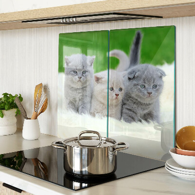 Tagliere in vetro temperato Gattini su sfondo verde