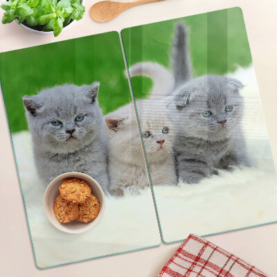 Tagliere in vetro temperato Gattini su sfondo verde
