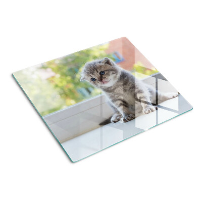 Tagliere in vetro temperato Gattino sul davanzale della finestra