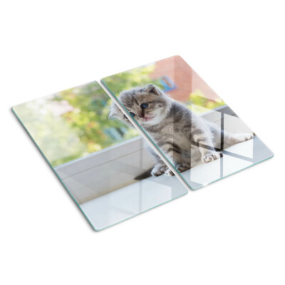 Tagliere in vetro temperato Gattino sul davanzale della finestra