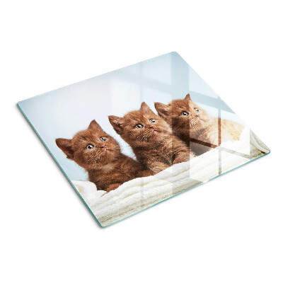 Tagliere in vetro temperato Tre gatti marroni