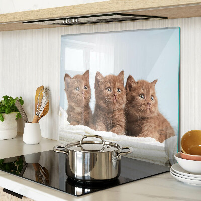 Tagliere in vetro temperato Tre gatti marroni