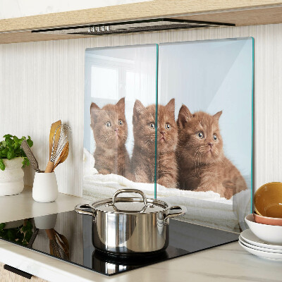 Tagliere in vetro temperato Tre gatti marroni