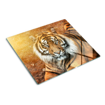 Tagliere in vetro Tigre al sole