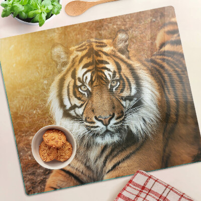 Tagliere in vetro Tigre al sole