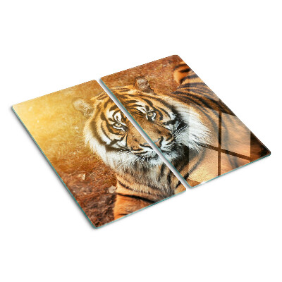 Tagliere in vetro Tigre al sole