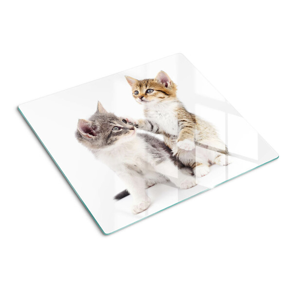 Tagliere in vetro Gatti su sfondo bianco