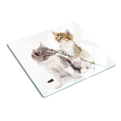 Tagliere in vetro Gatti su sfondo bianco
