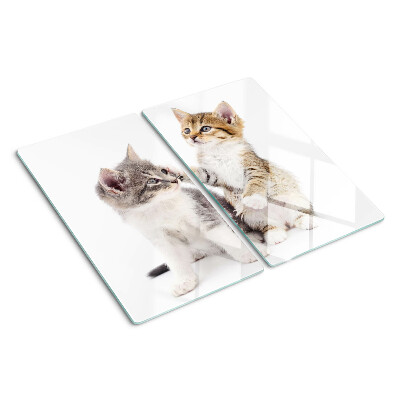 Tagliere in vetro Gatti su sfondo bianco