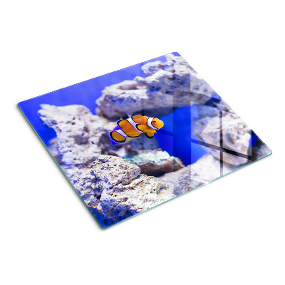 Tagliere in vetro Pesce pagliaccio tra le rocce
