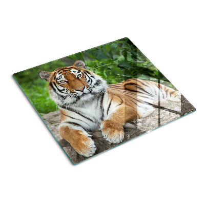 Tagliere in vetro Tigre nel suo habitat naturale