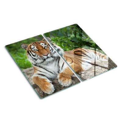 Tagliere in vetro Tigre nel suo habitat naturale
