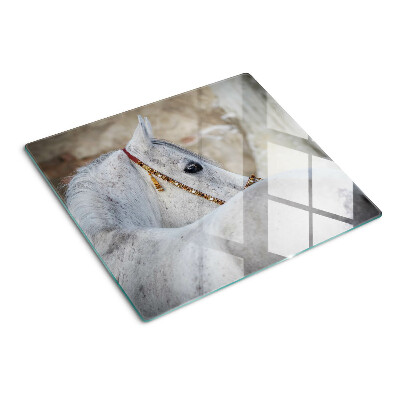 Tagliere in vetro Giovane cavallo bianco