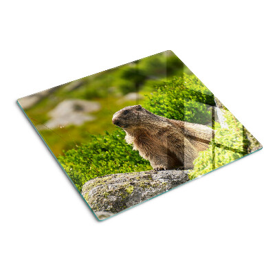 Tagliere in vetro Marmotta su uno sfondo di erba verde