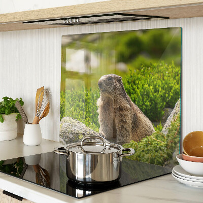 Tagliere in vetro Marmotta su uno sfondo di erba verde