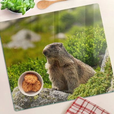 Tagliere in vetro Marmotta su uno sfondo di erba verde