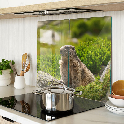 Tagliere in vetro Marmotta su uno sfondo di erba verde
