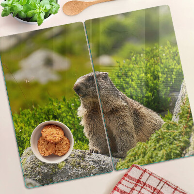 Tagliere in vetro Marmotta su uno sfondo di erba verde