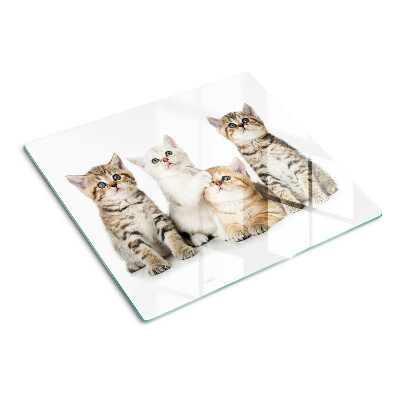 Tagliere in vetro temperato Uno stormo di gattini