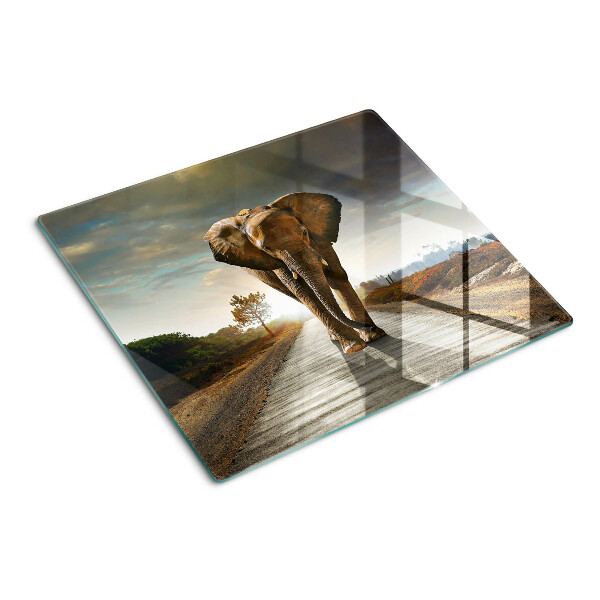 Tagliere in vetro temperato Elefante sulla strada al tramonto