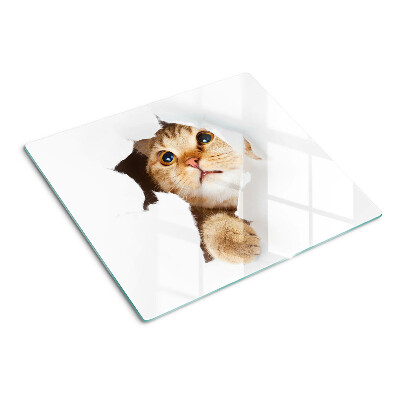 Tagliere in vetro temperato Un gatto che guarda attraverso un buco nel muro