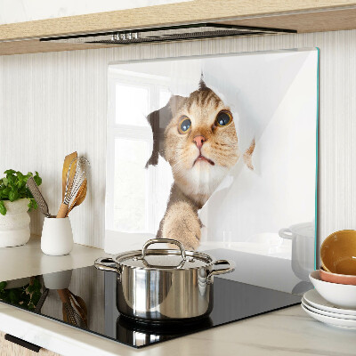 Tagliere in vetro temperato Un gatto che guarda attraverso un buco nel muro