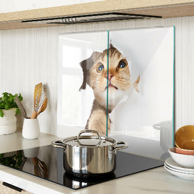Tagliere in vetro temperato Un gatto che guarda attraverso un buco nel muro