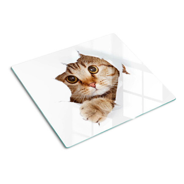Tagliere in vetro Un gatto che esce da una buca