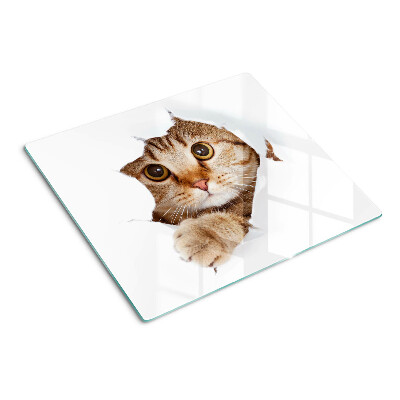 Tagliere in vetro Un gatto che esce da una buca