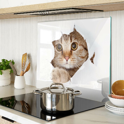 Tagliere in vetro Un gatto che esce da una buca