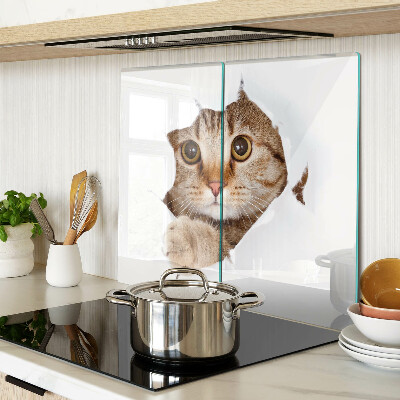 Tagliere in vetro Un gatto che esce da una buca