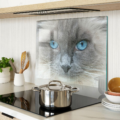 Tagliere in vetro temperato Gatto con gli occhi azzurri