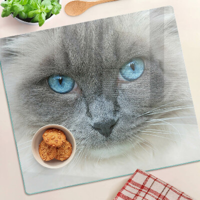 Tagliere in vetro temperato Gatto con gli occhi azzurri
