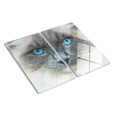 Tagliere in vetro temperato Gatto con gli occhi azzurri