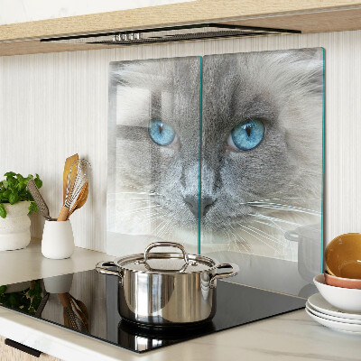 Tagliere in vetro temperato Gatto con gli occhi azzurri