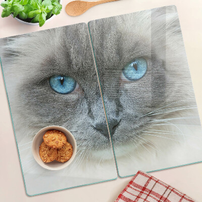 Tagliere in vetro temperato Gatto con gli occhi azzurri
