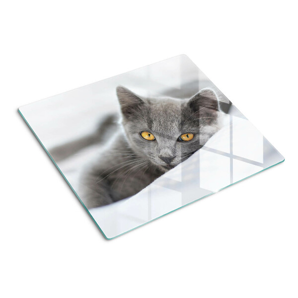Tagliere in vetro Gatto con gli occhi gialli