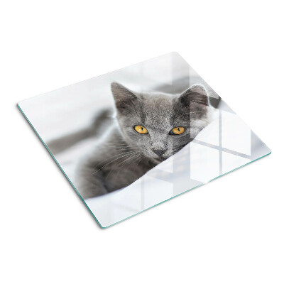 Tagliere in vetro Gatto con gli occhi gialli