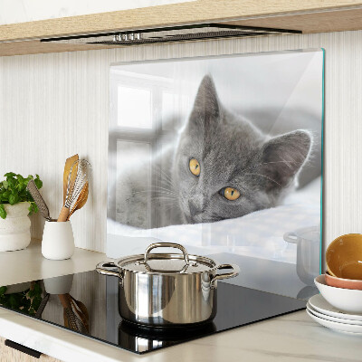 Tagliere in vetro Gatto con gli occhi gialli
